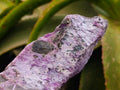 Natural Stichtite Cobbed Specimens x 2 From Barberton, South Africa - Toprock Gemstones and Minerals 