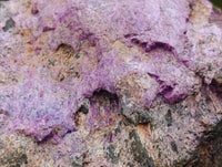 Natural Stichtite Cobbed Specimens x 2 From Barberton, South Africa