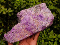 Natural Stichtite Cobbed Specimens x 2 From Barberton, South Africa