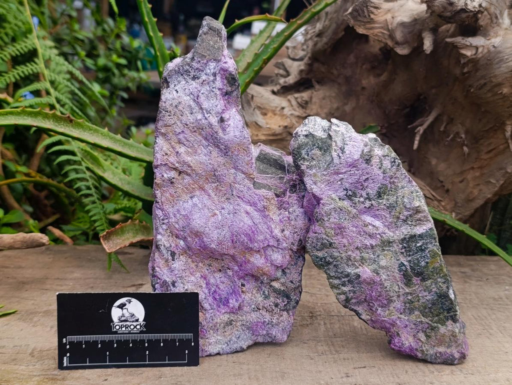 Natural Stichtite Cobbed Specimens x 2 From Barberton, South Africa