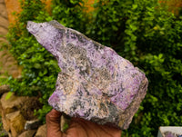Natural Stichtite Cobbed Specimens x 2 From Barberton, South Africa