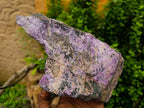 Natural Stichtite Cobbed Specimens x 2 From Barberton, South Africa