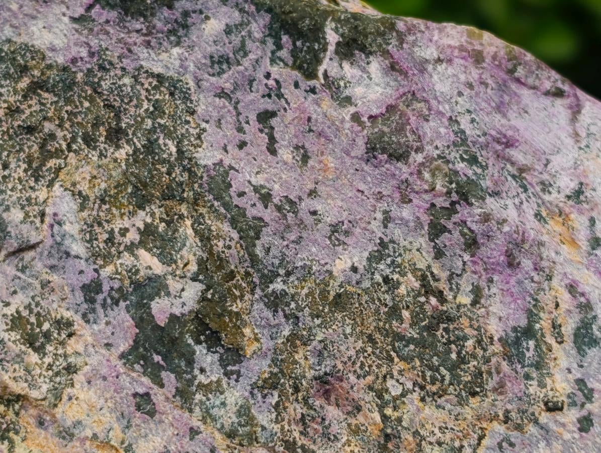 Natural Stichtite Cobbed Specimens x 2 From Barberton, South Africa