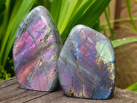 Polished Rare Purple Sunset Flash Labradorite Standing Free Forms x 6 From Tulear, Madagascar