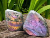 Polished Rare Purple Sunset Flash Labradorite Standing Free Forms x 6 From Tulear, Madagascar