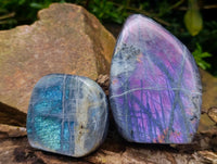 Polished Rare Purple Sunset Flash Labradorite Standing Free Forms x 6 From Tulear, Madagascar
