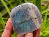 Polished Rare Purple Sunset Flash Labradorite Standing Free Forms x 6 From Tulear, Madagascar