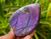 Polished Rare Purple Sunset Flash Labradorite Standing Free Forms x 6 From Tulear, Madagascar