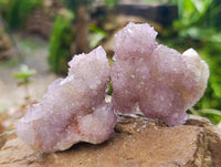 Natural Lilac Amethyst Spirit Quartz Crystal Clusters x 12 From Boekenhouthoek, South Africa