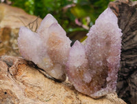Natural Lilac Amethyst Spirit Quartz Crystal Clusters x 12 From Boekenhouthoek, South Africa