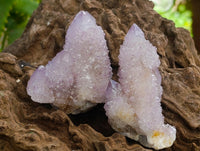 Natural Lilac Amethyst Spirit Quartz Crystal Clusters x 12 From Boekenhouthoek, South Africa