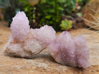 Natural Lilac Amethyst Spirit Quartz Crystal Clusters x 12 From Boekenhouthoek, South Africa