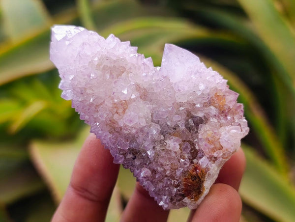 Natural Lilac Amethyst Spirit Quartz Crystal Clusters x 12 From Boekenhouthoek, South Africa