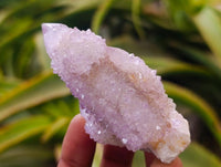 Natural Lilac Amethyst Spirit Quartz Crystal Clusters x 12 From Boekenhouthoek, South Africa
