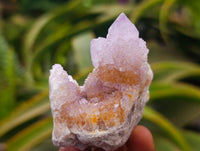 Natural Lilac Amethyst Spirit Quartz Crystal Clusters x 12 From Boekenhouthoek, South Africa