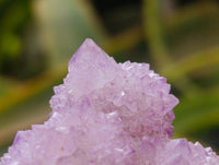 Natural Lilac Amethyst Spirit Quartz Crystal Clusters x 12 From Boekenhouthoek, South Africa