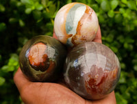 Polished Polychrome Jasper Spheres x 12 From NW Coast, Madagascar