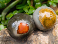 Polished Polychrome Jasper Spheres x 12 From NW Coast, Madagascar