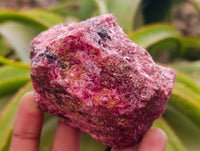 Natural Rhodonite Cobbed Specimens x 6 From Rhusinga, Zimbabwe