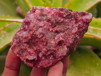 Natural Rhodonite Cobbed Specimens x 6 From Rhusinga, Zimbabwe