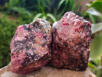 Natural Rhodonite Cobbed Specimens x 6 From Rhusinga, Zimbabwe