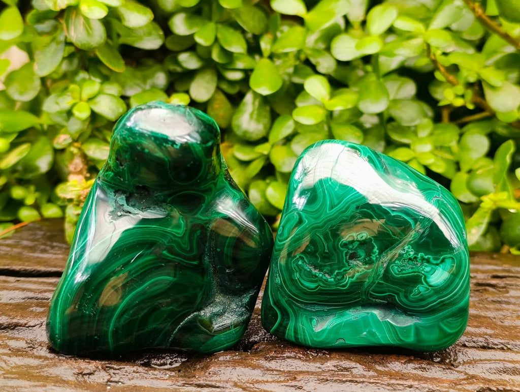 Polished Flower Banded Malachite Free Forms x 3 From Congo