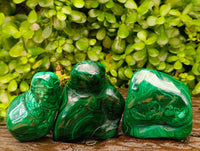 Polished Flower Banded Malachite Free Forms x 3 From Congo