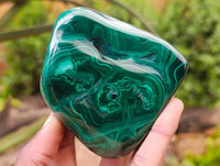 Polished Flower Banded Malachite Free Forms x 3 From Congo