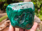 Polished Flower Banded Malachite Free Forms x 3 From Congo