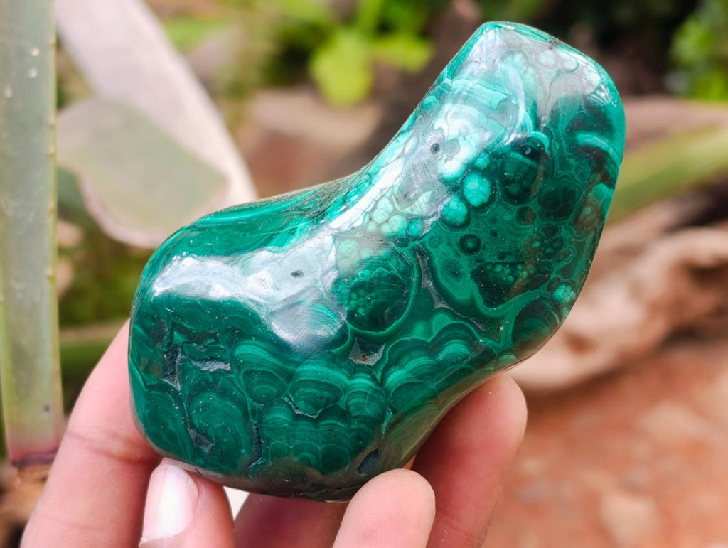 Polished Flower Banded Malachite Free Forms x 3 From Congo