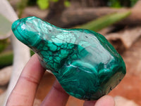 Polished Flower Banded Malachite Free Forms x 3 From Congo
