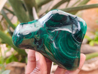 Polished Flower Banded Malachite Free Forms x 3 From Congo