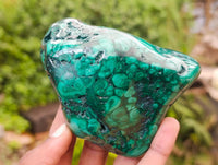Polished Flower Banded Malachite Free Forms x 3 From Congo