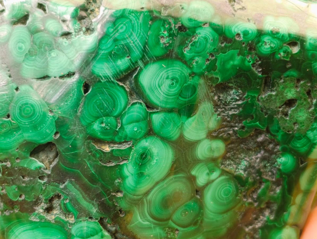 Polished Flower Banded Malachite Free Forms x 3 From Congo