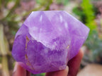 Polished Window Amethyst Crystals x 2 From Akansobe, Madagascar