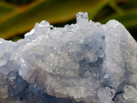 Natural Blue Celestite Geode Specimens x 6 From Sakoany, Madagascar