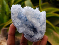 Natural Blue Celestite Geode Specimens x 6 From Sakoany, Madagascar