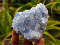 Natural Blue Celestite Geode Specimens x 6 From Sakoany, Madagascar