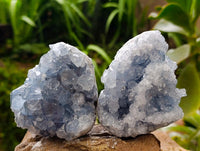 Natural Blue Celestite Geode Specimens x 6 From Sakoany, Madagascar