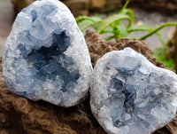 Natural Blue Celestite Geode Specimens x 6 From Sakoany, Madagascar
