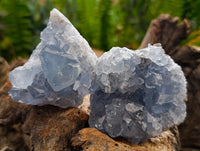 Natural Blue Celestite Geode Specimens x 6 From Sakoany, Madagascar