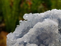 Natural Blue Celestite Geode Specimens x 6 From Sakoany, Madagascar