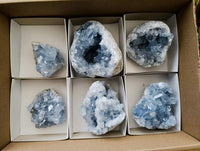 Natural Blue Celestite Geode Specimens x 6 From Sakoany, Madagascar
