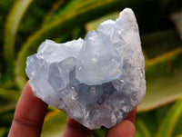 Natural Blue Celestite Geode Specimens x 6 From Sakoany, Madagascar