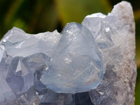 Natural Blue Celestite Geode Specimens x 6 From Sakoany, Madagascar
