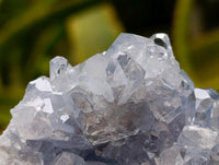 Natural Blue Celestite Geode Specimens x 6 From Sakoany, Madagascar