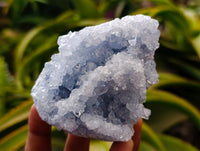Natural Blue Celestite Geode Specimens x 6 From Sakoany, Madagascar