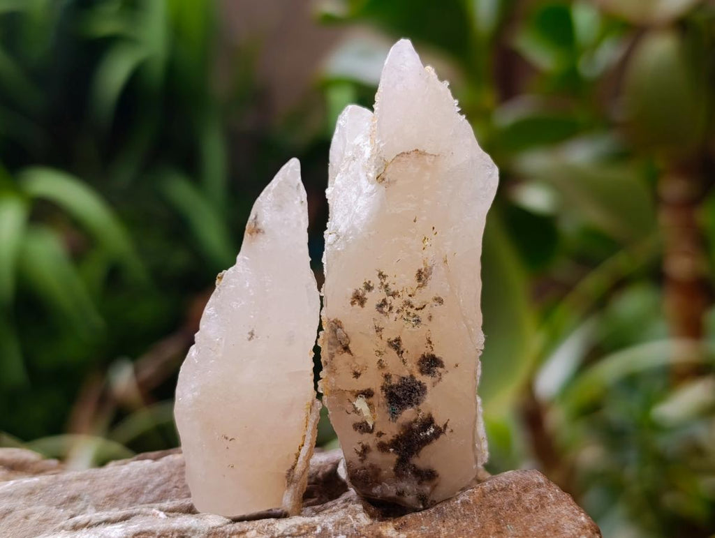 Natural Drusy Quartz Coated Spearhead Calcite Specimens x 35 From Albert's Mountain, Lesotho