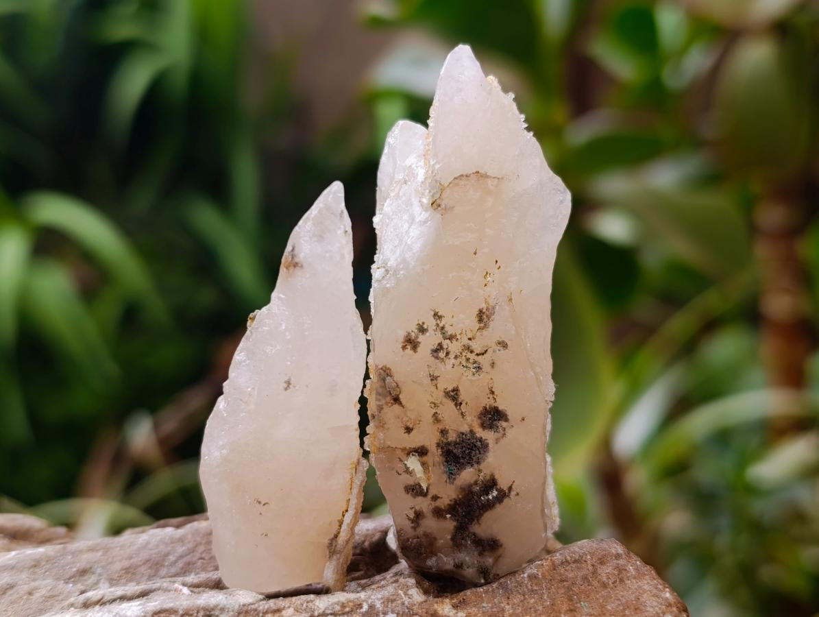 Natural Drusy Quartz Coated Spearhead Calcite Specimens x 35 From Albert's Mountain, Lesotho