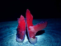 Natural Drusy Quartz Coated Spearhead Calcite Specimens x 35 From Albert's Mountain, Lesotho